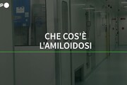 LA VIDEOGRAFICA Cos'è l'amiloidosi