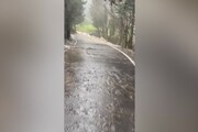 Maltempo in Toscana, strade come fiumi a Careggi