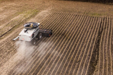 Confagricoltura, preoccupa calo quotazioni della soia italiana