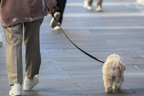 Una strada di shopping