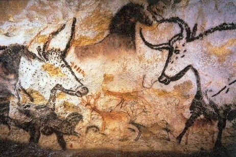 Figure di uri sulle pareti di Lascaux (Francia) (fonte: www.archisloci.com)