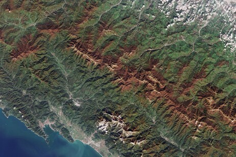 Il foliage dell’Appennino tosco-emiliano ripreso da Sentinel-2 il 29 ottobre (fonte: dati di Sentinel-Copernicus rielaborati da Esa)