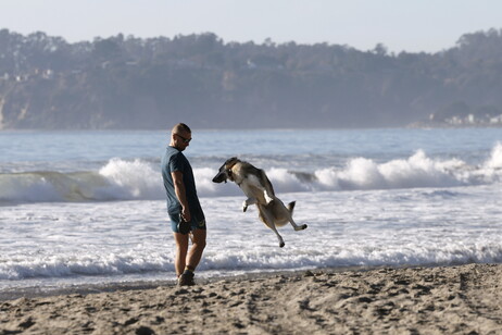 Un uomo gioca con il suo cane a Stinson Beach, in California