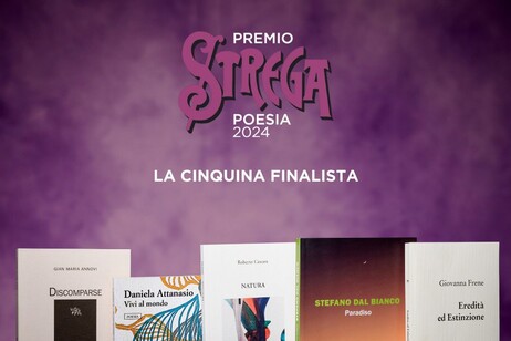 Libri finalisti allo Strega Poesia