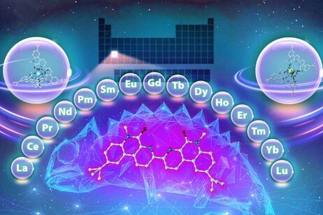 Un ‘camaleonte chimico’ che modifica il suo comportamento in base al pH, legandosi a diversi metalli. Fonte: Adam Malin/ORNL, Dipartimento dell'Energia degli Stati Uniti