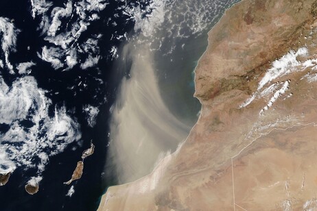 La polvere del Sahara trasportata dai venti verso l’Atlantico nell’estate 2024 (fonte: Lauren Dauphin, NASA Earth Observatory)