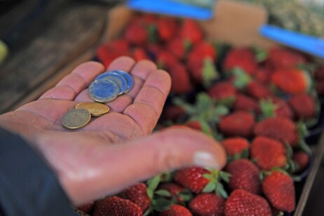 Una donna al mercato