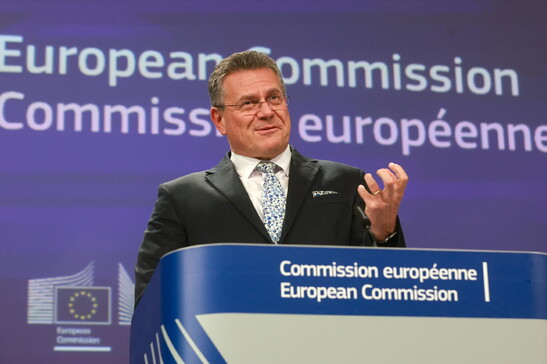 Sefcovic in missione all'Organizzazione mondiale del commercio: "L'Ue è campione di cooperazione"