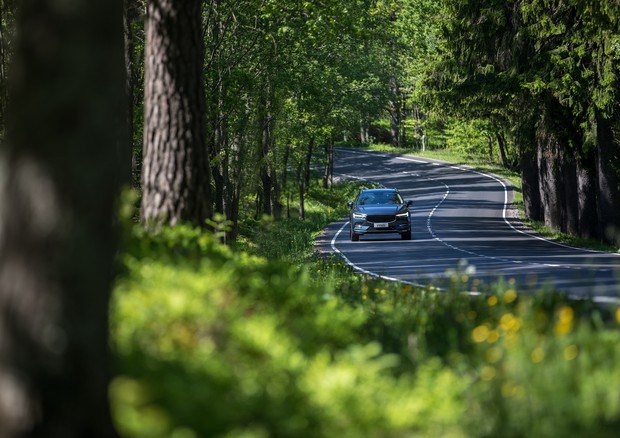 Vacanze in auto, i consigli per un viaggio comodo e sicuro © ANSA