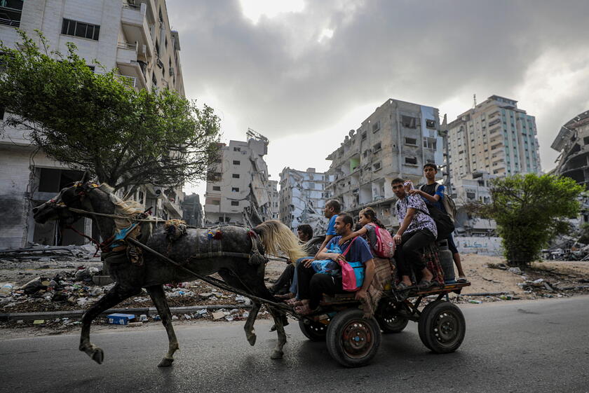 Guerra Medioriente - Evacuazione di Gaza, con qualsiasi mezzi © ANSA/EPA