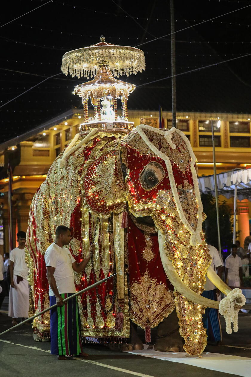 Navam Perahera - Annual Buddhist cultural pageant in Colombo © ANSA/EPA