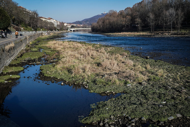 - RIPRODUZIONE RISERVATA