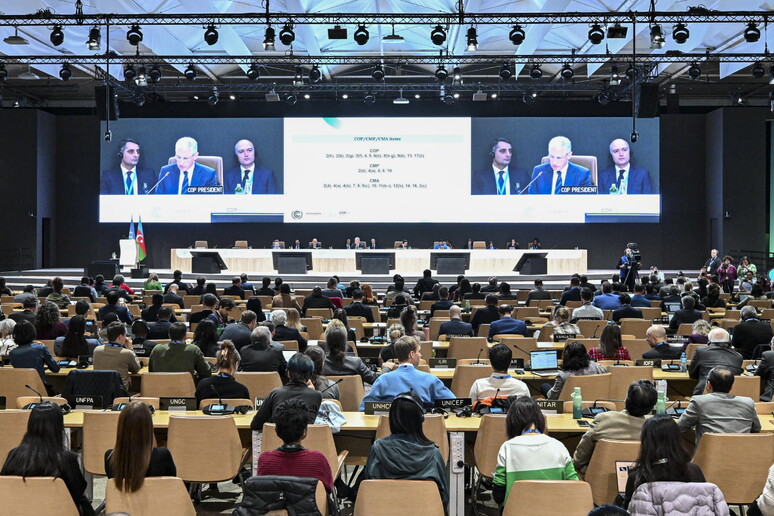 UN Climate Change Conference COP29 © ANSA/EPA