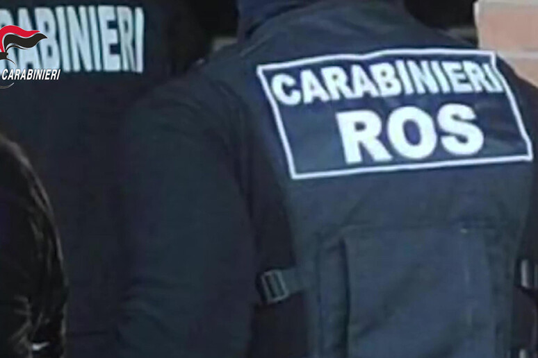 Gruppo pro Isis su TikTok, leader una ragazza a Bologna - RIPRODUZIONE RISERVATA