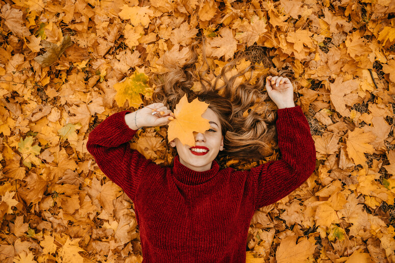 Le foglie d 'autunno foto iStock. - RIPRODUZIONE RISERVATA