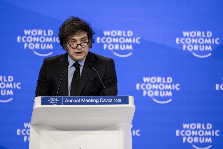 Milei a Davos © ANSA/AFP