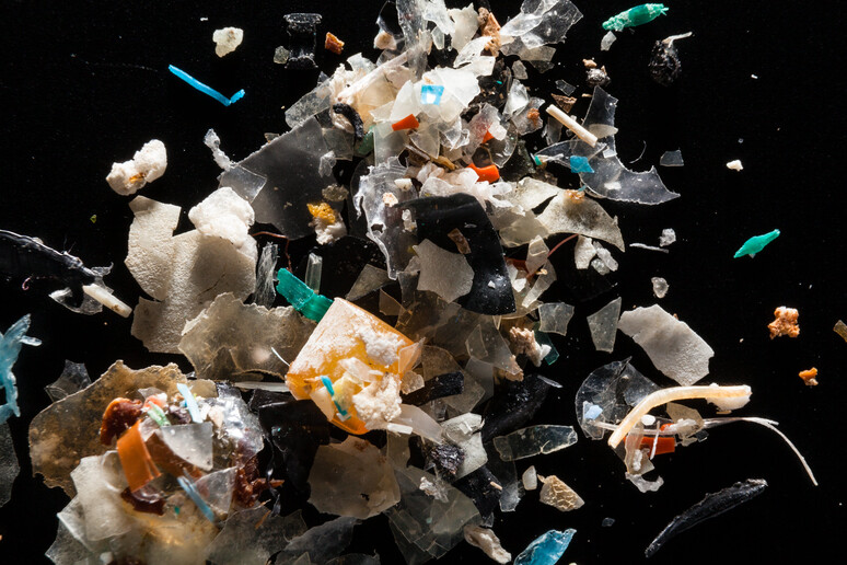 Microplastiche (fonte: Chesapeake Bay Program da Flickr CC BY-NC 2.0) - RIPRODUZIONE RISERVATA