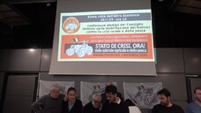 Nasce il Consiglio unitario della mobilitazione dei trattori, 'il 5 marzo a Roma'